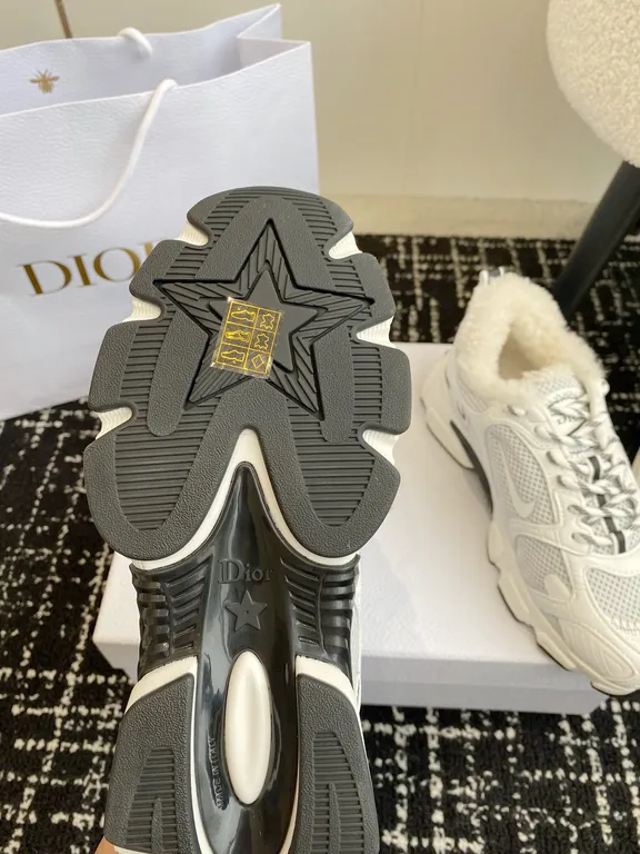 Dior Shoe 